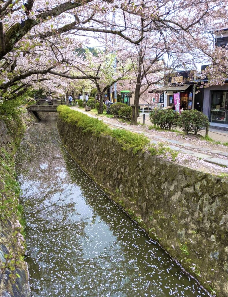 の道_20210402_黒野