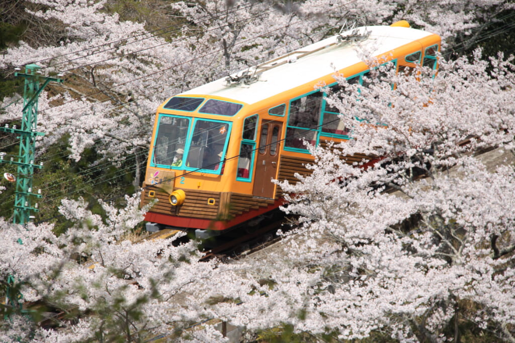 2.Myoken no Mori Cable Car