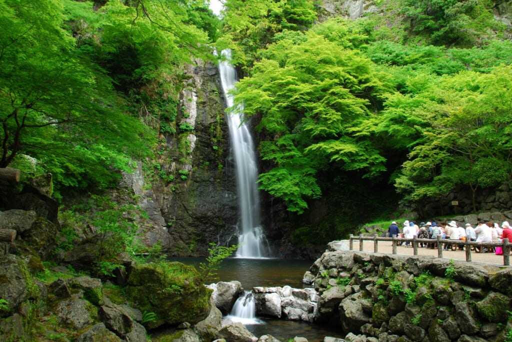 新緑遠景