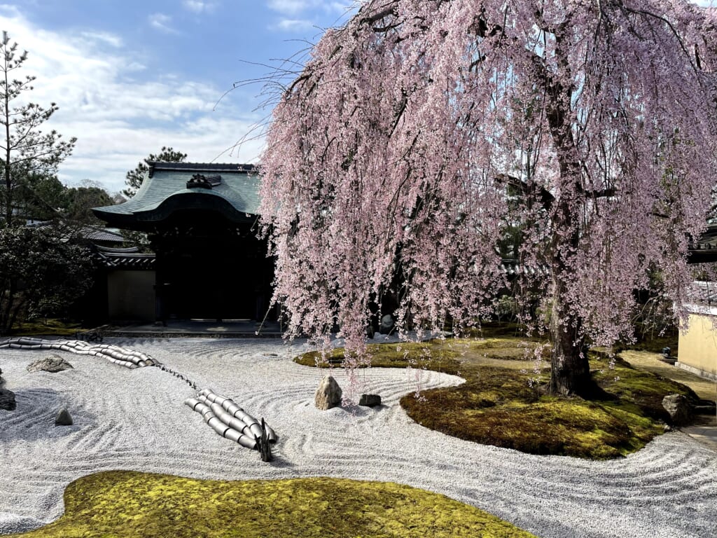 11.高台寺