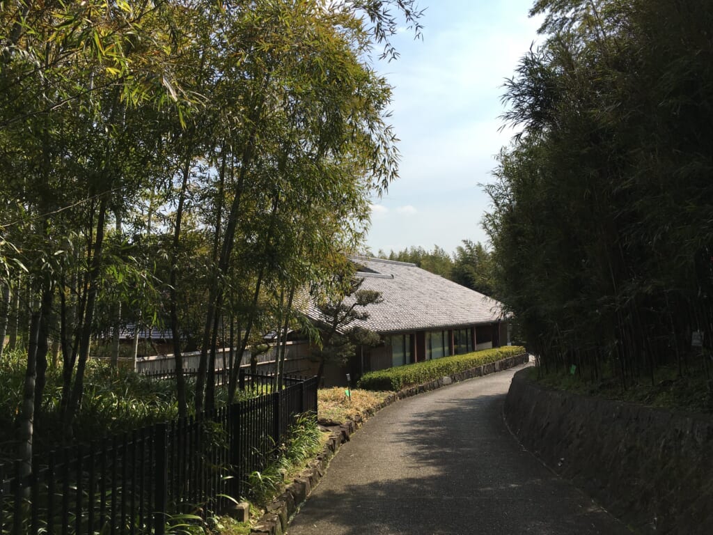 4.京都市洛西竹林公園